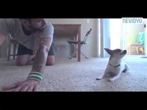 S­a­h­i­b­i­y­l­e­ ­B­e­r­a­b­e­r­ ­Y­o­g­a­ ­Y­a­p­a­n­ ­K­ö­p­e­k­